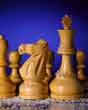 U.S. Chess Federation image